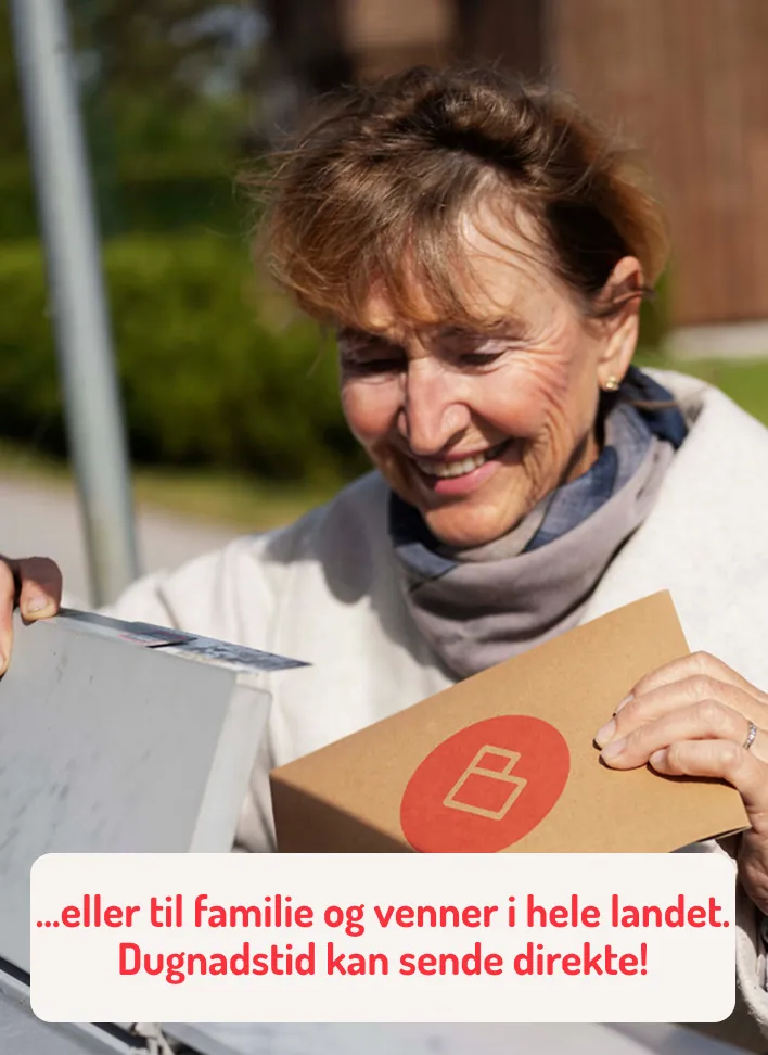 Dugnadstid - Selger 3